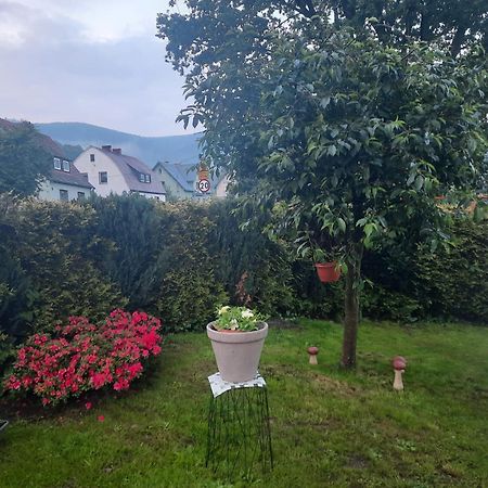 Pod Debem Apartamento Jugów Exterior foto