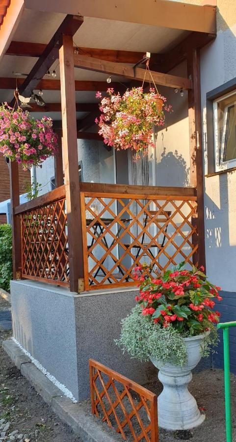 Pod Debem Apartamento Jugów Exterior foto