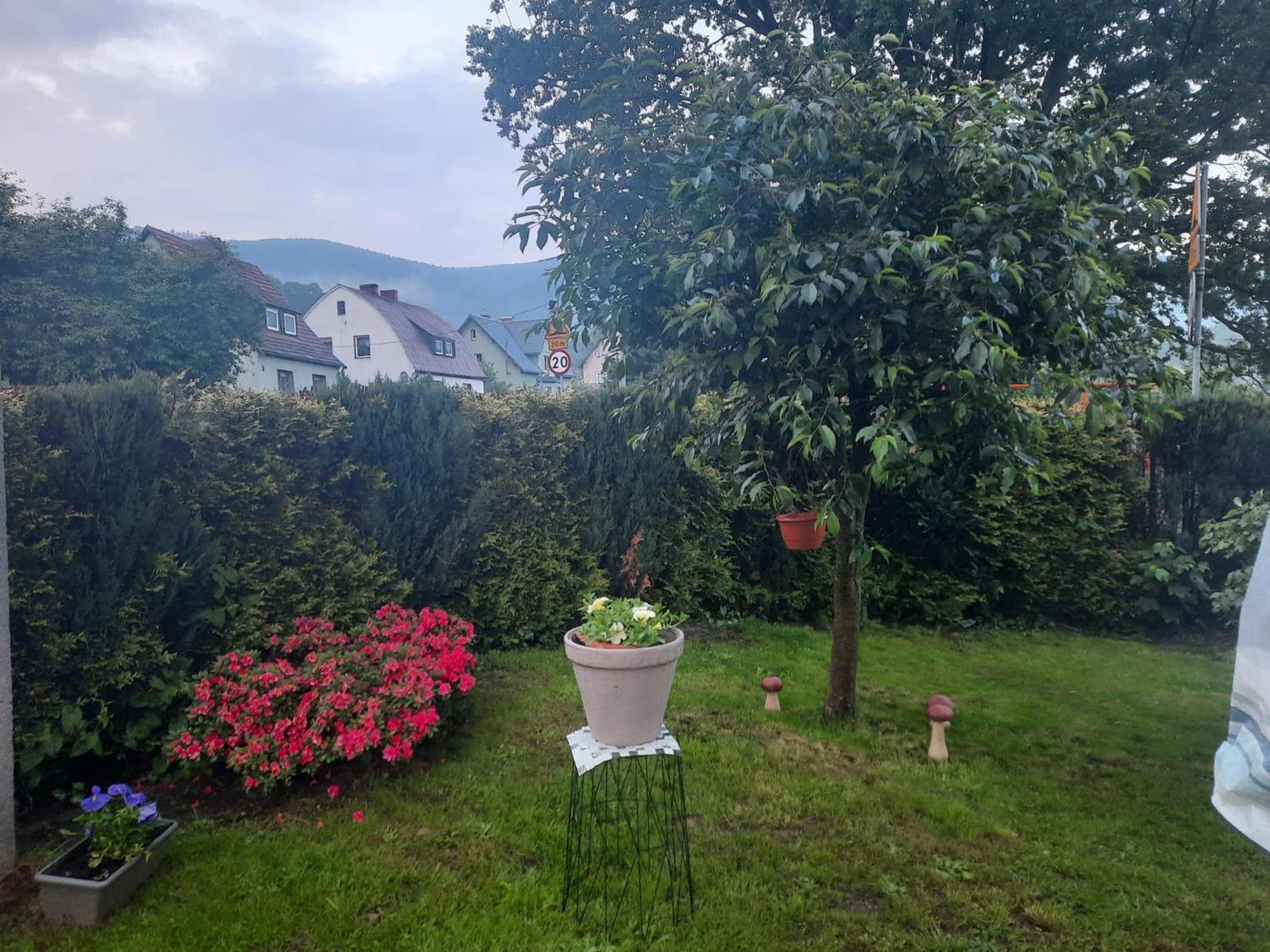 Pod Debem Apartamento Jugów Exterior foto